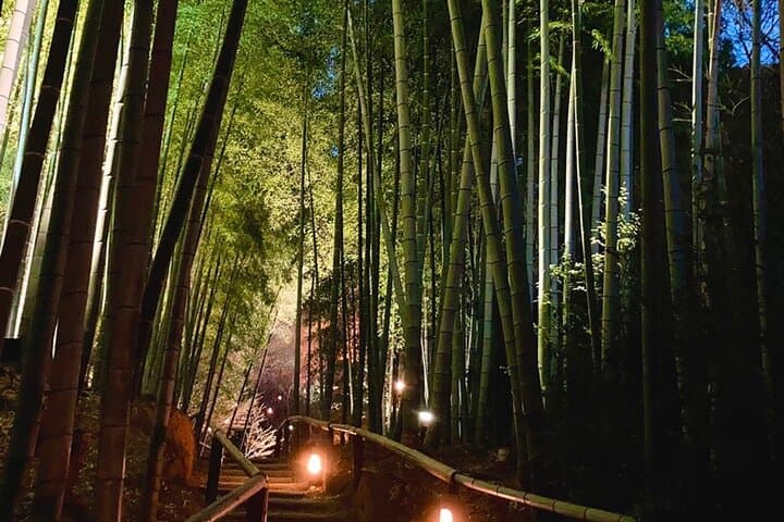Quiet Kyoto: Morning Shrine Walk & Authentic Japanese Breakfast — photo 8