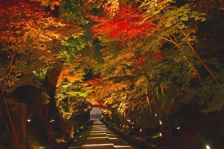 Quiet Kyoto: Morning Shrine Walk & Authentic Japanese Breakfast — photo 10