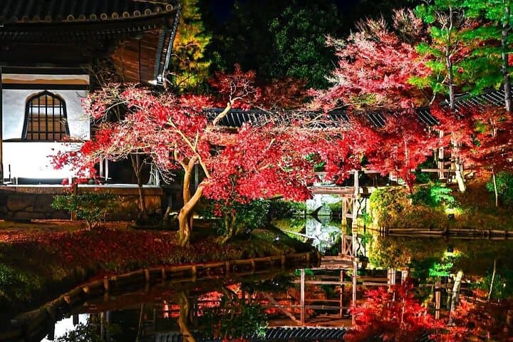 Quiet Kyoto: Morning Shrine Walk & Authentic Japanese Breakfast — photo 2