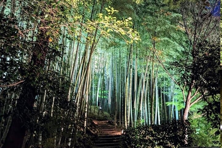 Quiet Kyoto: Morning Shrine Walk & Authentic Japanese Breakfast — photo 15