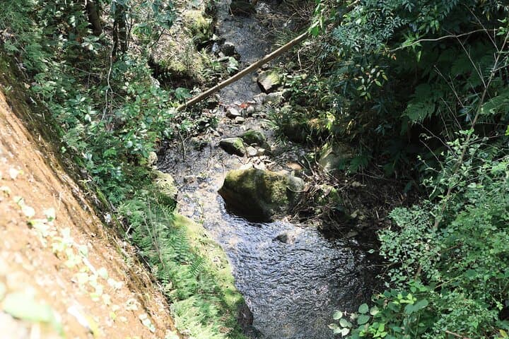 Osaka Satoyama Rice Terraces Traditional Farmhouse Walking Tour — photo 5