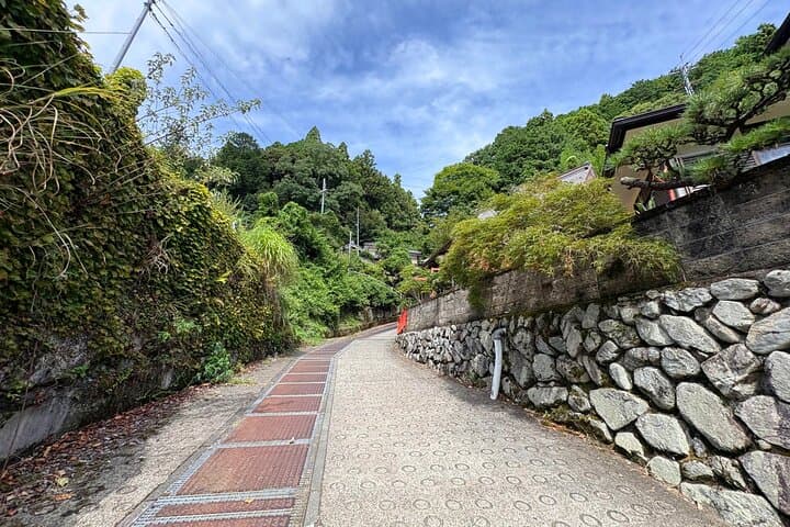 Osaka Satoyama Rice Terraces Traditional Farmhouse Walking Tour — photo 6
