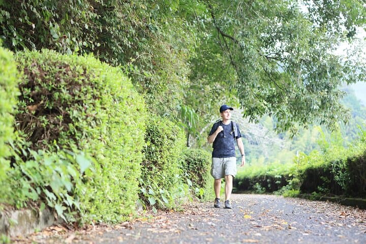 Osaka Satoyama Rice Terraces Traditional Farmhouse Walking Tour — photo 11