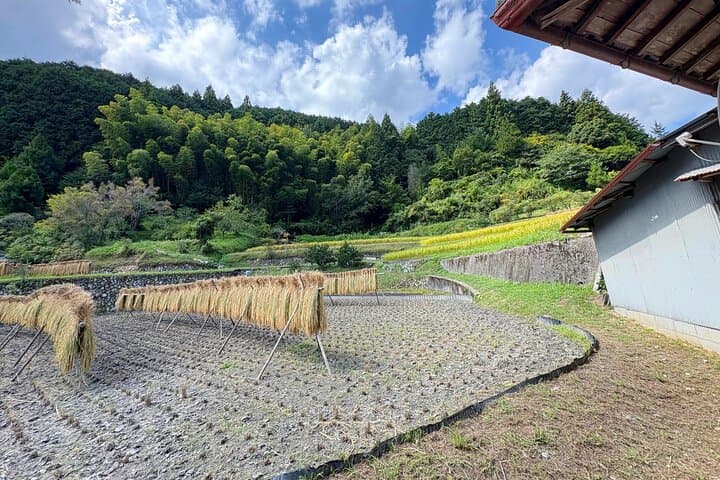 Osaka Satoyama Rice Terraces Traditional Farmhouse Walking Tour — photo 12