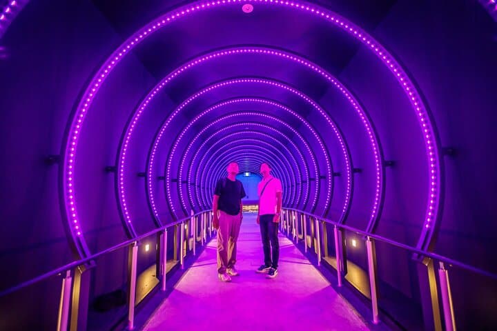 Osaka Expo 70 Commemorative Park Guided Tour — photo 4