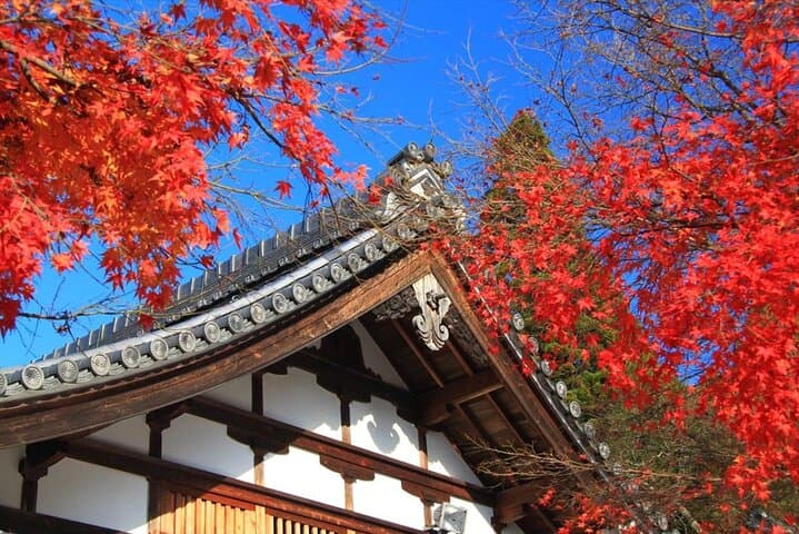 Osaka and Kyoto Tour Katsuo-ji, Otagi Nenbutsu-ji and Arashiyama — photo 2