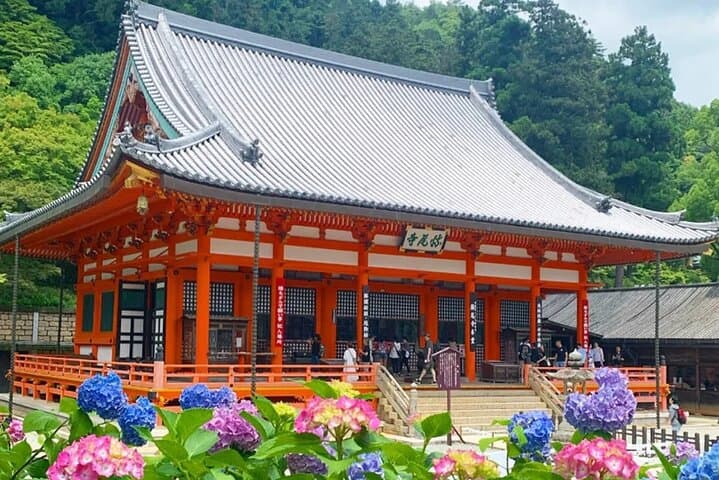 Osaka and Kyoto Tour Katsuo-ji, Otagi Nenbutsu-ji and Arashiyama — photo 6
