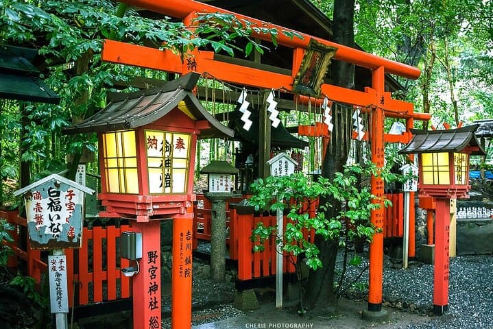 Osaka and Kyoto Tour Katsuo-ji, Otagi Nenbutsu-ji and Arashiyama — photo 8