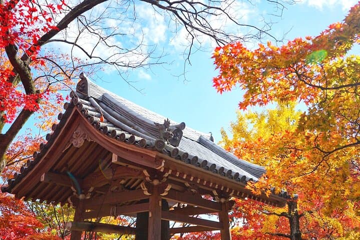 Osaka and Kyoto Tour Katsuo-ji, Otagi Nenbutsu-ji and Arashiyama — photo 12