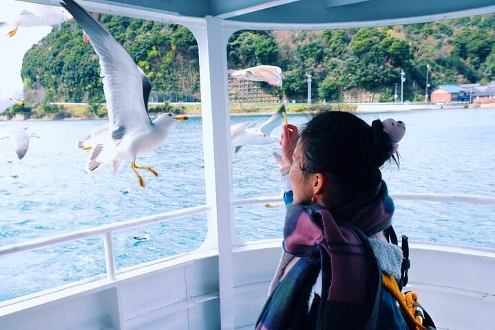 Kyoto Sea Scenic Train Ride and Coastal Exploration — photo 10
