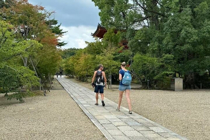 Kyoto: Ninna-ji, Stunning Pagoda and Gardens Tour in 1.5h — photo 3