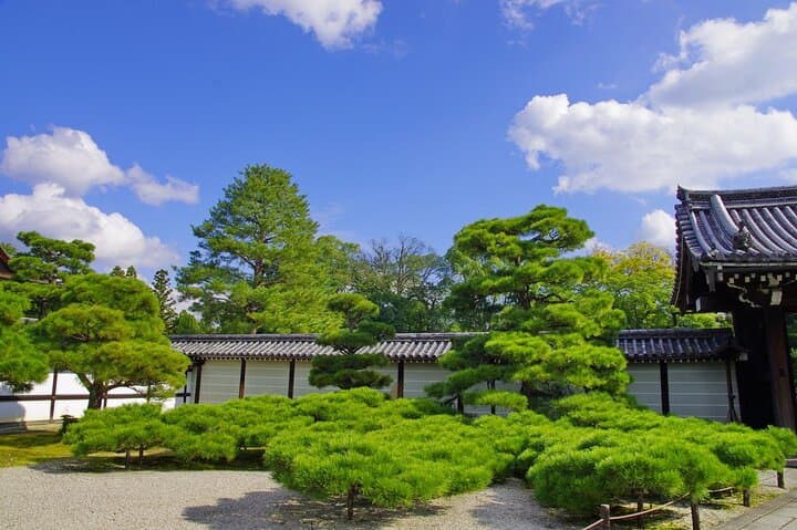 Kyoto: Ninna-ji, Stunning Pagoda and Gardens Tour in 1.5h — photo 6