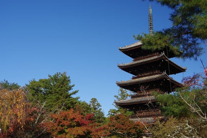 Kyoto: Ninna-ji, Stunning Pagoda and Gardens Tour in 1.5h — photo 7