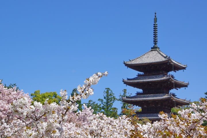 Kyoto: Ninna-ji, Stunning Pagoda and Gardens Tour in 1.5h — photo 1