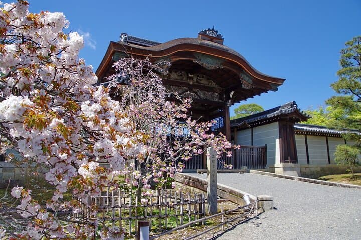 Kyoto: Ninna-ji, Stunning Pagoda and Gardens Tour in 1.5h — photo 9