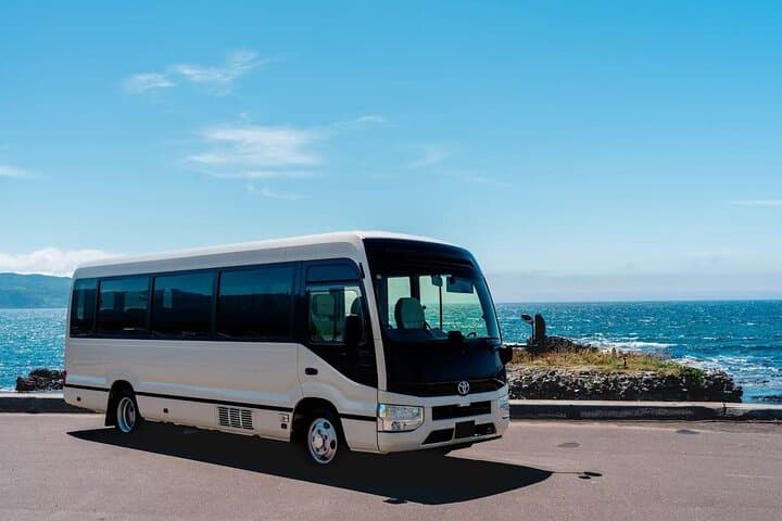 Chitose Airport to Niseko Private Bus Transfer Vice Versa