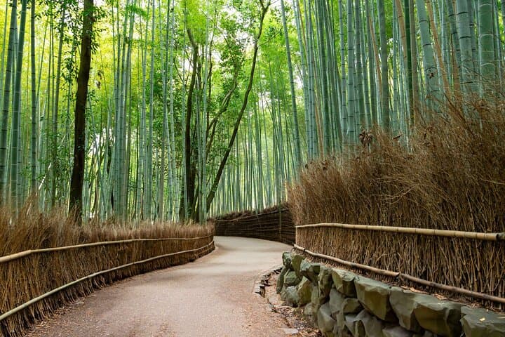 Most Popular Kyoto and Nara Day Trip to Torii Gates and Temples — photo 2