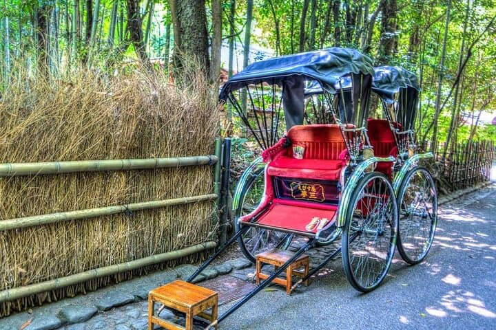 Most Popular Kyoto and Nara Day Trip to Torii Gates and Temples — photo 4