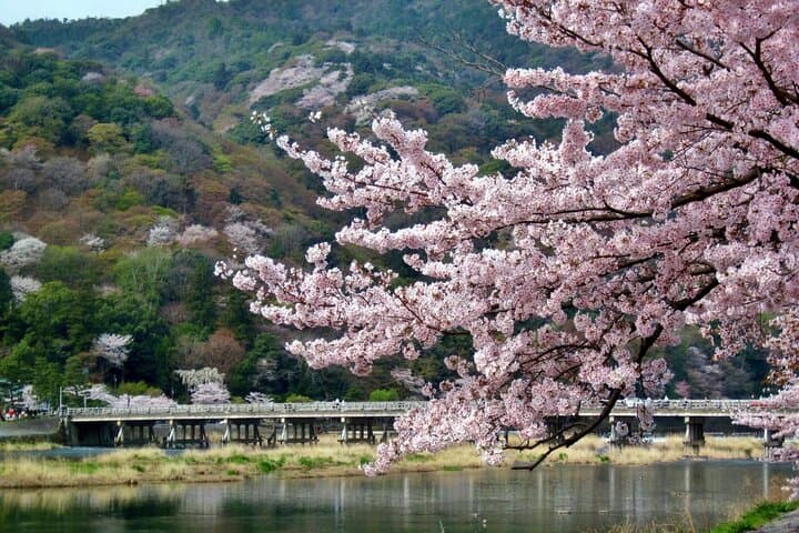 Most Popular Kyoto and Nara Day Trip to Torii Gates and Temples — photo 5