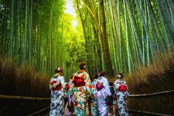 Most Popular Kyoto and Nara Day Trip to Torii Gates and Temples — photo 19
