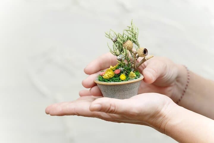 Bonsai Style Arrangement Workshop in Tokyo — photo 2