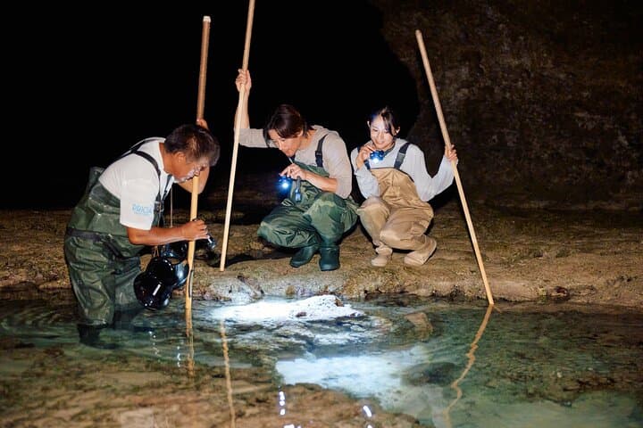 Night Reef Walk Tou– Yoron Island's Izari Experience — photo 4