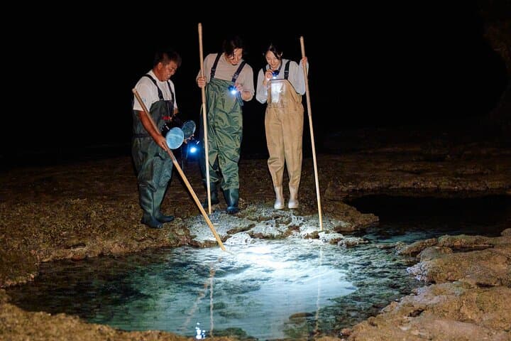Night Reef Walk Tou– Yoron Island's Izari Experience — photo 3