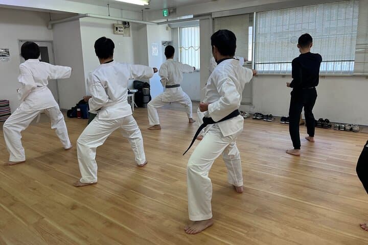 Japanese Calligraphy and Karate Experience in Kagoshima — photo 11