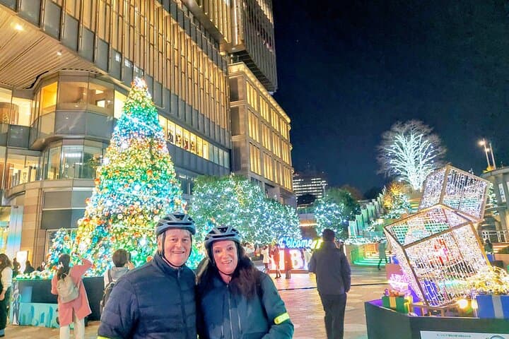 Tokyo Winter Illumination Ebike Tour — photo 5