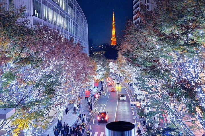Tokyo Winter Illumination Ebike Tour — photo 2