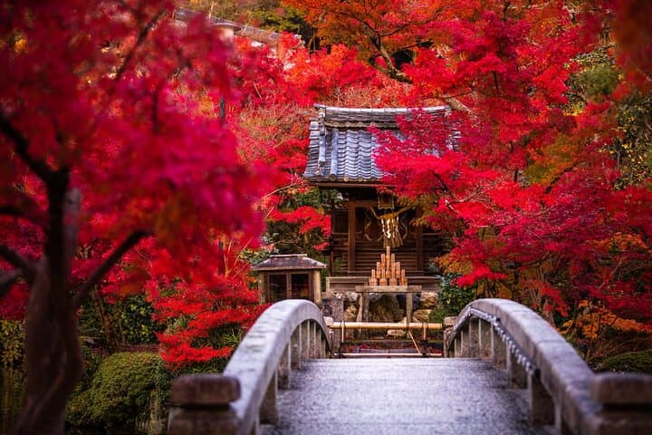 Kyoto: Serene Stroll Through Eikando’s Timeless Temple Paths — photo 1