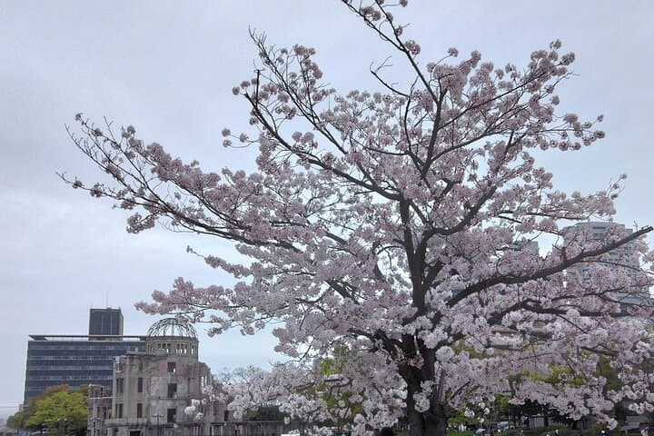 Hiroshima City Center Pickup: Miyajima & Peace Park Tour with car — photo 12