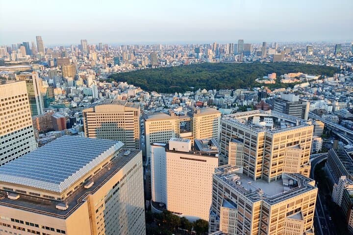 Tokyo: Shinjuku & Shibuya Walking Tour – City Highlights — photo 7