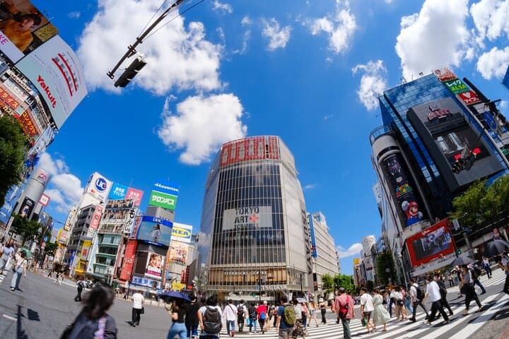 Tokyo: Shinjuku & Shibuya Walking Tour – City Highlights — photo 1