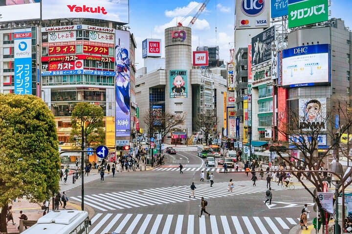 Tokyo: Shinjuku & Shibuya Walking Tour – City Highlights — photo 11