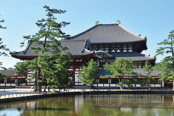 Speak Japanese in 1 Day – Kansai Airport Private Tour (6–8h) — photo 10