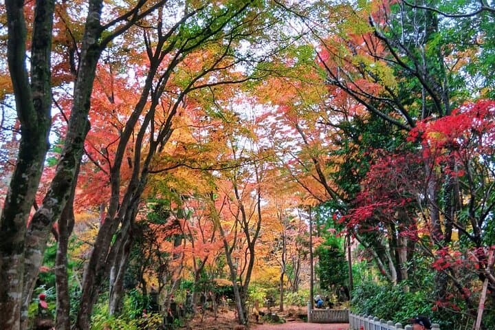 Tokyo: Mt. Takao Tour with Ramen and Tattoo-Okay Hot Spring — photo 3