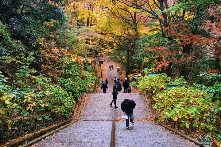 Tokyo: Mt. Takao Tour with Ramen and Tattoo-Okay Hot Spring — photo 6