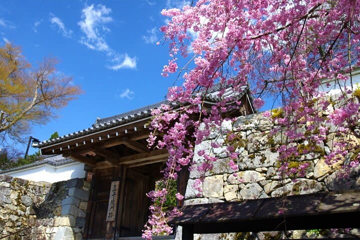Sanzen-in Temple and Arashiyama Exploration in Kyoto Day Trip — photo 3
