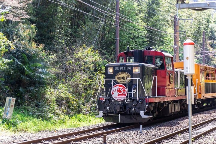 Sanzen-in Temple and Arashiyama Exploration in Kyoto Day Trip — photo 6