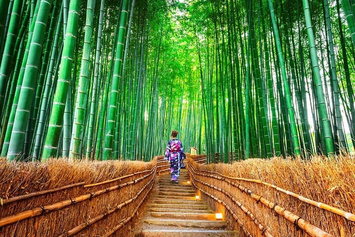 Sanzen-in Temple and Arashiyama Exploration in Kyoto Day Trip — photo 9