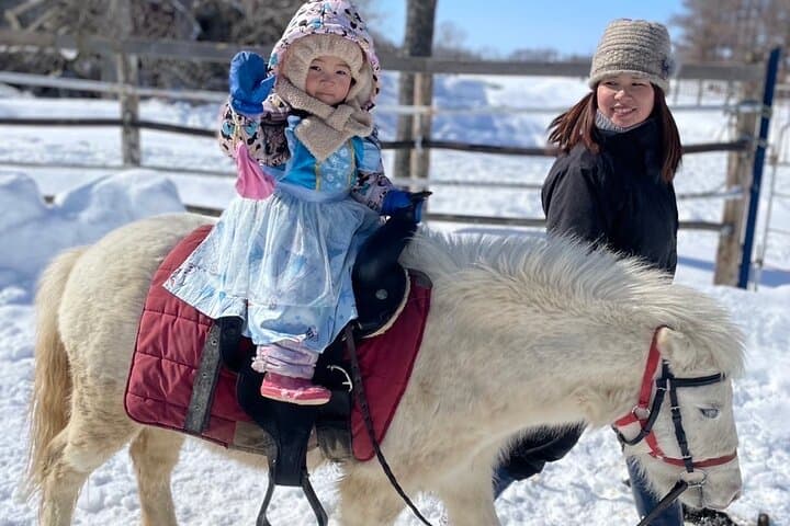 Harmony with Horses Gentle Interaction and Arena Ride — photo 4