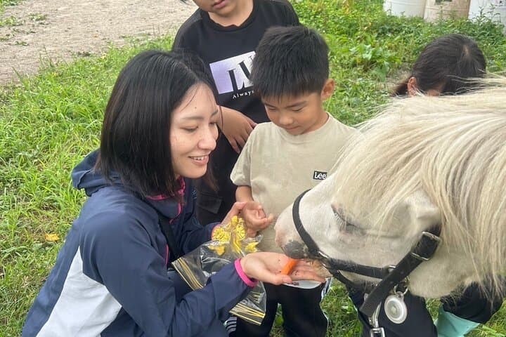 Harmony with Horses Gentle Interaction and Arena Ride — photo 8