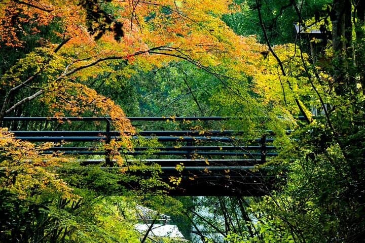 Kurama Onsen Guided Tour: Cultural Bathing Experience & Meal — photo 7