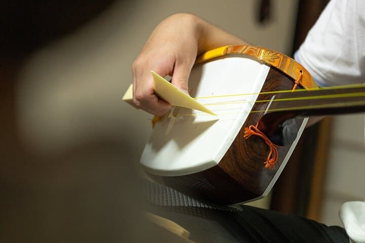 Shamisen Experience: Mikuni Cultural Tour with Local Guide — photo 5
