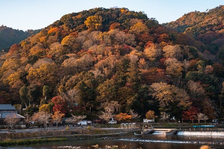 Depart from Osaka & Kyoto: Classic Nara Park&Fushimi Inari Tour — photo 10