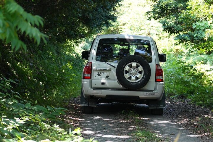 Private Amami Nature and Culture Experience — photo 5