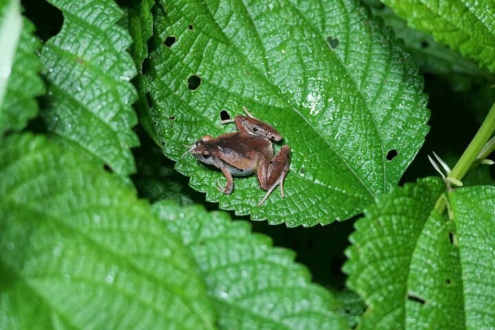 Private Amami Nature and Culture Experience — photo 9