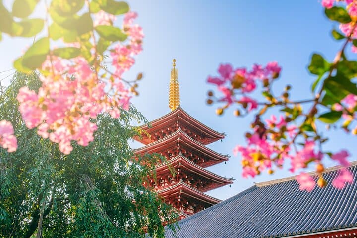 Tokyo 8 Hour Senso-ji & Tsukiji Outer Market & Ginza Private Tour — photo 1