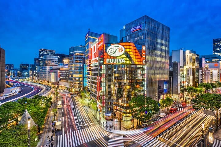 Tokyo 8 Hour Senso-ji & Tsukiji Outer Market & Ginza Private Tour — photo 8